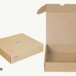 上海浦東區(qū)紙箱廠加工各類包裝紙制品的用途與特點解析